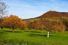 Goldener Oktober am Lettenberg bei Neuffen Goldener Oktober am Lettenberg bei Neuffen