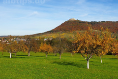 Goldener Oktober am Lettenberg bei Neuffen Goldener Oktober am Lettenberg bei Neuffen
