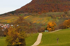 Goldener Oktober am Lettenberg bei Neuffen Goldener Oktober am Lettenberg bei Neuffen