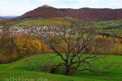 Goldener Oktober am Lettenberg bei Neuffen Goldener Oktober am Lettenberg bei Neuffen