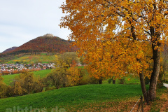 Goldener Oktober am Lettenberg bei Neuffen Goldener Oktober am Lettenberg bei Neuffen