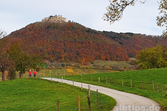 Goldener Oktober am Lettenberg bei Neuffen Goldener Oktober am Lettenberg bei Neuffen