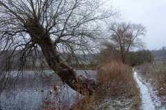 Rund um das Schalkenmehrener Maar (Vulkaneifel)