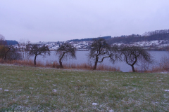 Rund um das Schalkenmehrener Maar (Vulkaneifel)