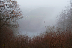 (Kaum) Blick zum Gemündener Maar
