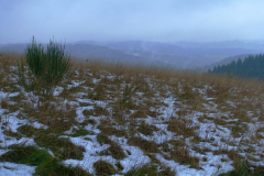 Winterliche Vulkaneifel