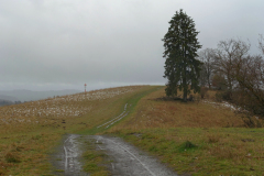 Das Wetter wird nicht besser ...