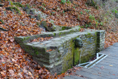 Wasserspeier am Ulmener Maar