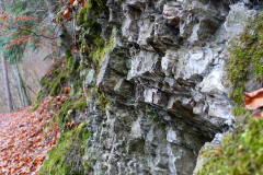 Gesteinschichten am Ulmener Maar