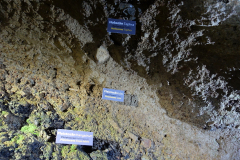 Gesteinschichten im Stollen