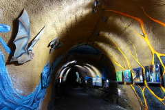 Infos im Ulmener Maar-Stollen