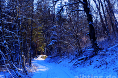 Licht und Schatten im Kohltal