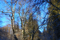 Vom Brunnen aus links hoch ins Ohnhülber Tal