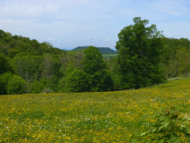 Blick zum Farrenberg