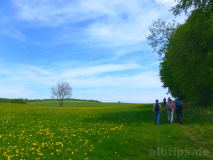 Weg am Waldrand