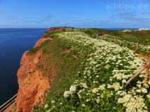 Klippen von Helgoland
