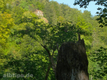 Blick vom Laucherttal hinauf zum Nägelesfelsen