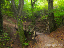 Waldweg