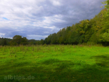 Blick über ein leeres Wildgehege