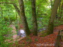 Blick auf die Düssel im Düsseltal (Neandertal)