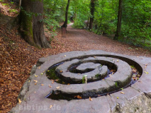 Kunst im Wald