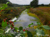 Gewässer im Naturpark Bourtanger Moor-Bargerveen