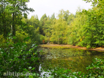 Kleiner Teich