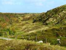 Durch die Dünen