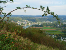 Blick von der Erpeler Ley ins Rheintal nach Süden