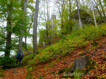 Serpentinenweg zur Ruine Hohenerpfingen
