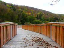 Brücke über das Feuchtbiotop