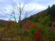 Herbstfarben