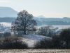 Blick vom Käpfle zur Friedenslinde und zum Hohenzollern