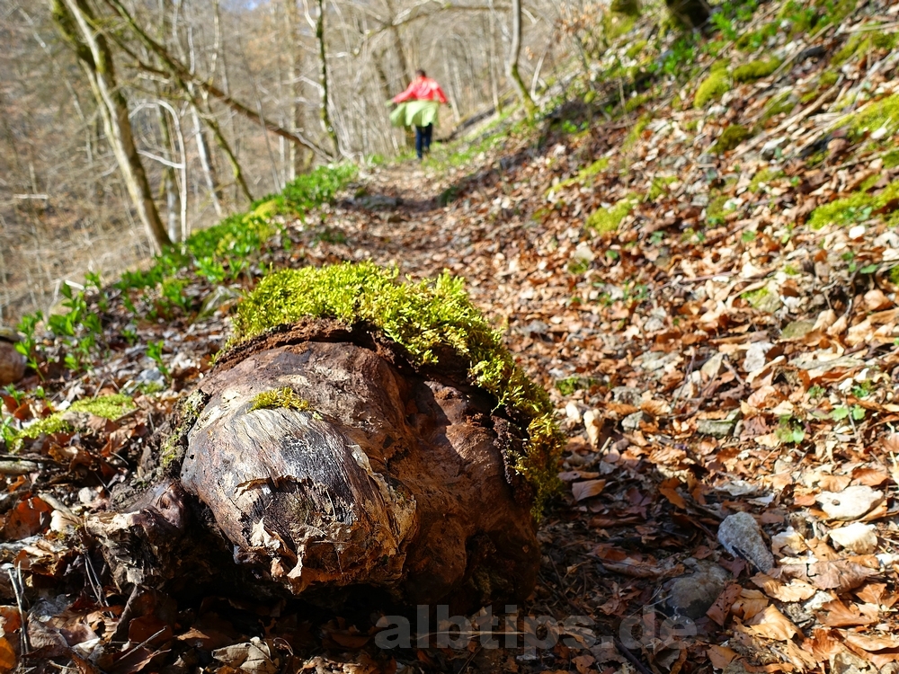 Wanderfrühling! Jacke aus ...