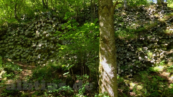 Basaltprismenwand am Gangolfsberg (Rhön)