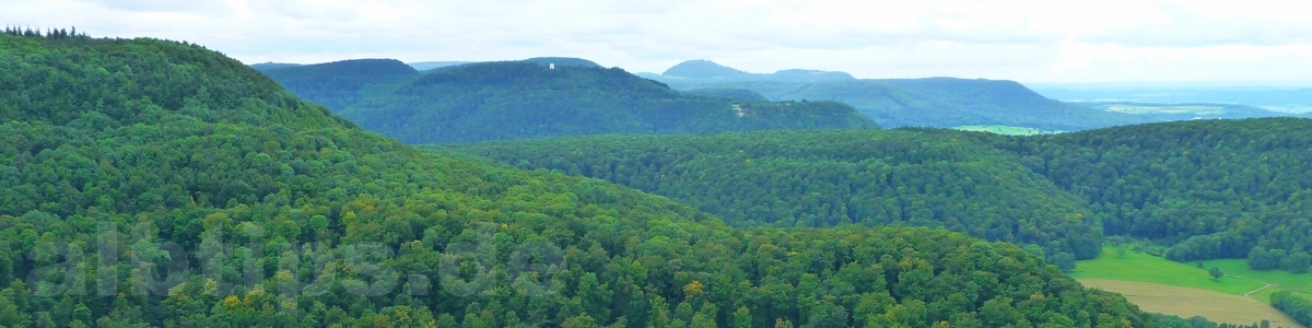 Panoramablick vom Mädlesfels nach Westen