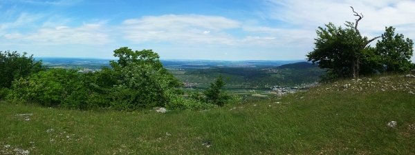 Panoramablick vom Roßfeld oberhalb Glems