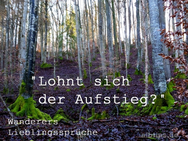 Lohnt sich der Aufstieg?