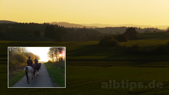 Abendritt - der Sonne entgegen