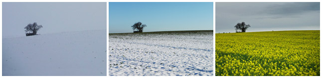 Vom Winter zum Frühling