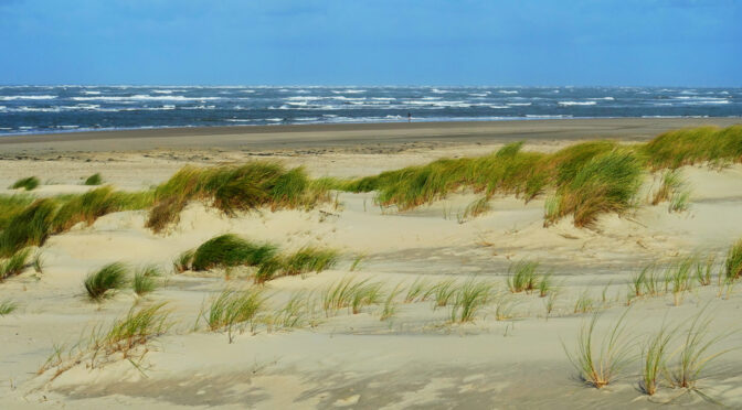 Gezeitenpfad auf der Insel Baltrum