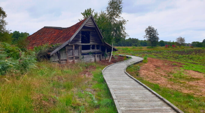 Über den Albrand hinaus: Rund um das Moormuseum Emsland (€)