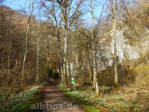 Märzenbecher im Wolfstal