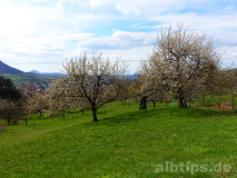 Blick Richtung Ermstal, Albtrauf, Metzingen