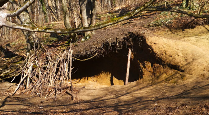 Beim Eninger Naturfreundehaus