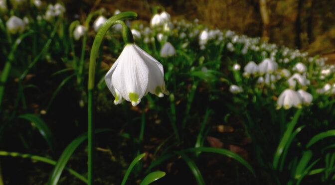 Wolfstal, Besinnungsweg, Lautertal